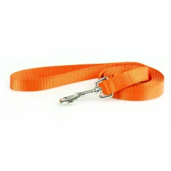 Nylon 3/8in Orange Dog Leash