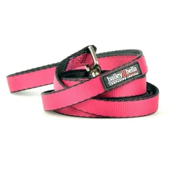 Nylon 5/8in Pink Dog Leash
