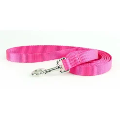 Nylon 3/8in Pink Dog Leash