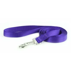 Nylon 1in Purple Dog Leash