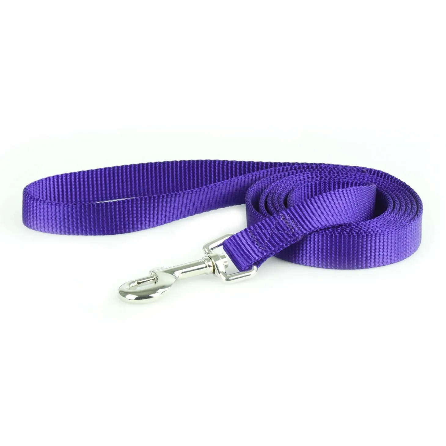 Nylon 1in Purple Dog Leash