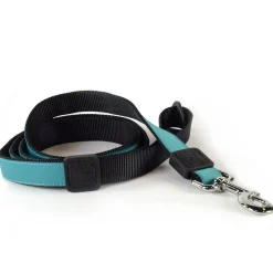 Nylon 5/8in Teal Dog Leash