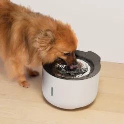 Oasis Light Grey Dog Fountain