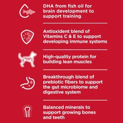 Ocean Fish & Brown Rice Recipe Kitten Cat Food