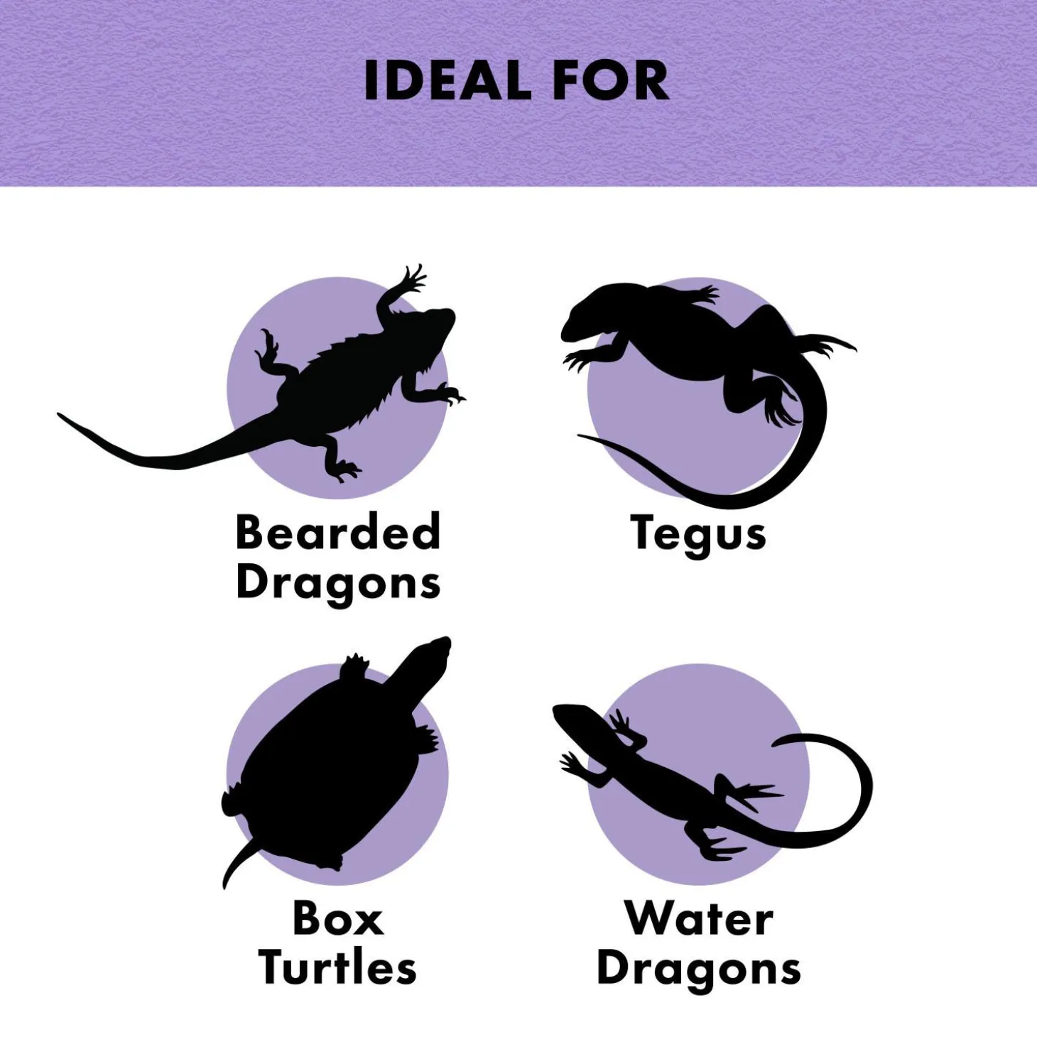 Omnivore Mix Reptile Munchies Reptile Food