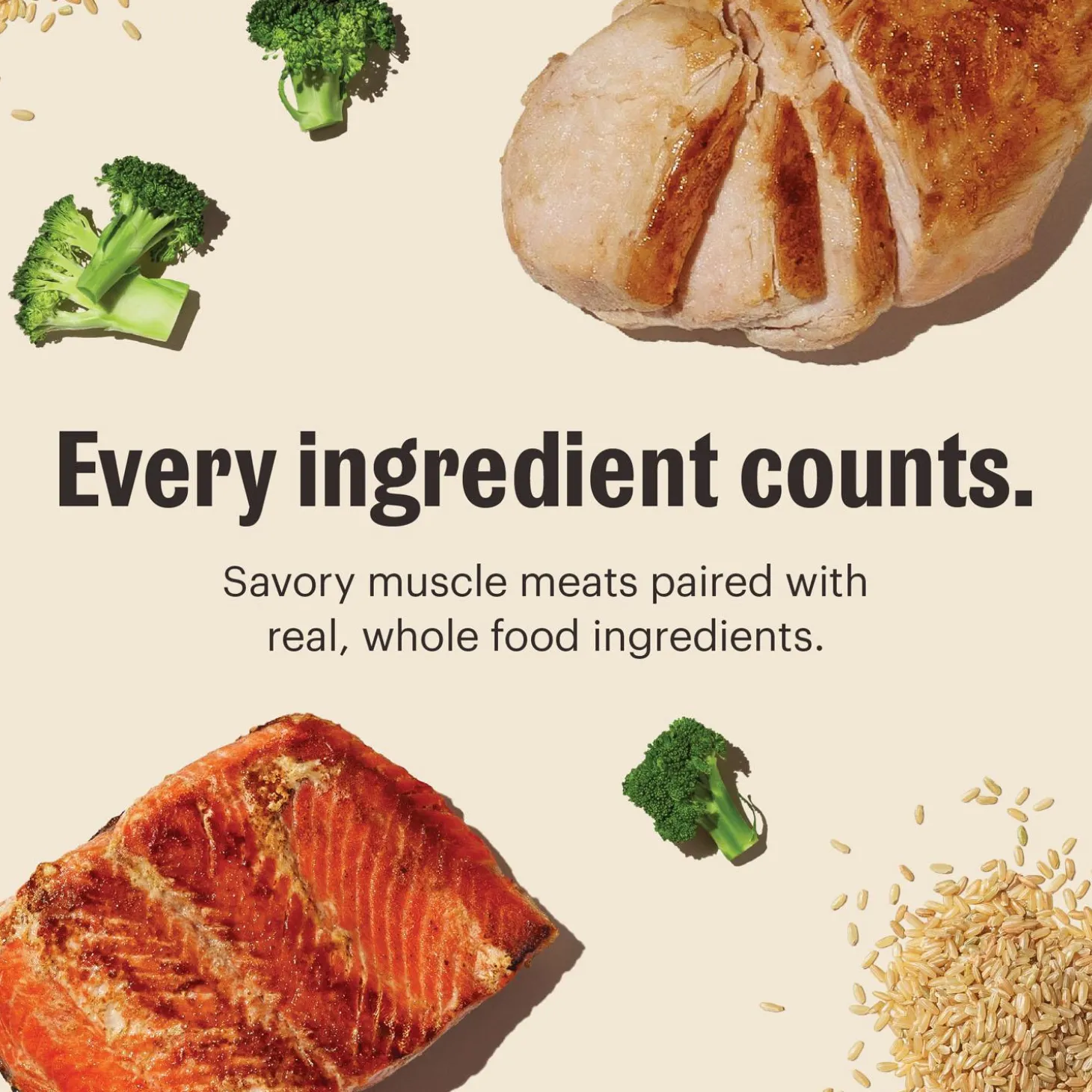 One Pot Stews Simmered Salmon & Chicken Stew Dog Food