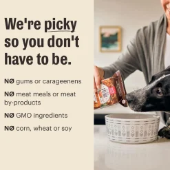 One Pot Stews Simmered Salmon & Chicken Stew Dog Food