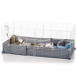 Open Living Guinea Pig or Rabbit Habitat