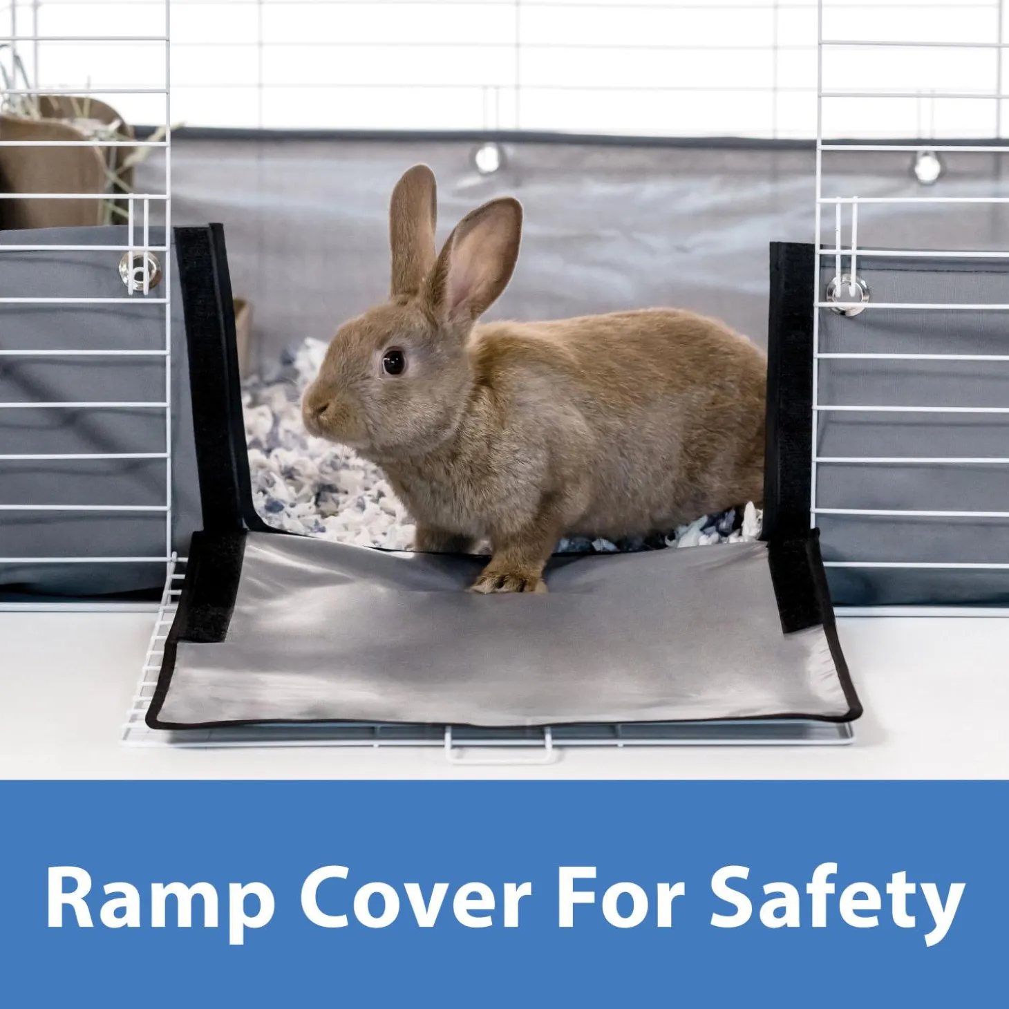 Open Living Guinea Pig or Rabbit Habitat