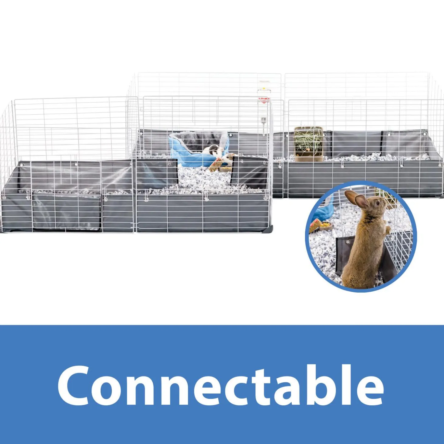 Open Living Guinea Pig or Rabbit Habitat