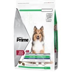 Oral Care Chicken & Rice Formula Adult Dog Food