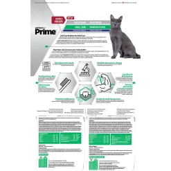 Oral Care Chicken & Rice Formula Adult Cat Food