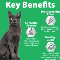 Oral Care Chicken & Rice Formula Adult Cat Food