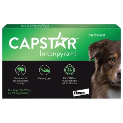 Oral Flea Medium & Large Dog Treatment