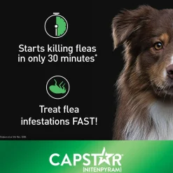 Oral Flea Medium & Large Dog Treatment