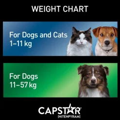 Oral Flea Medium & Large Dog Treatment