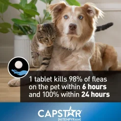 Oral Flea Small Dog & Cat Treatment