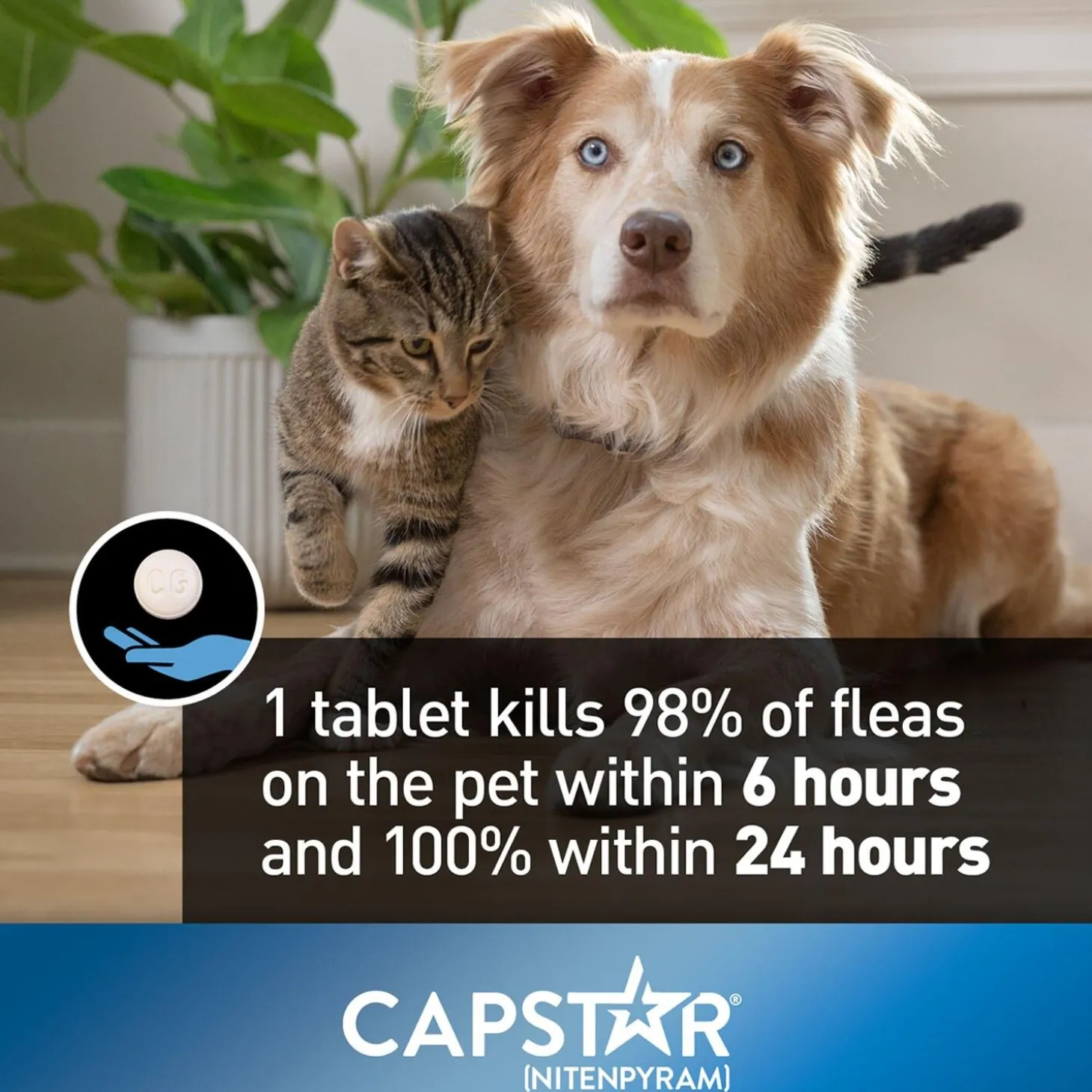 Oral Flea Small Dog & Cat Treatment