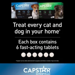 Oral Flea Small Dog & Cat Treatment