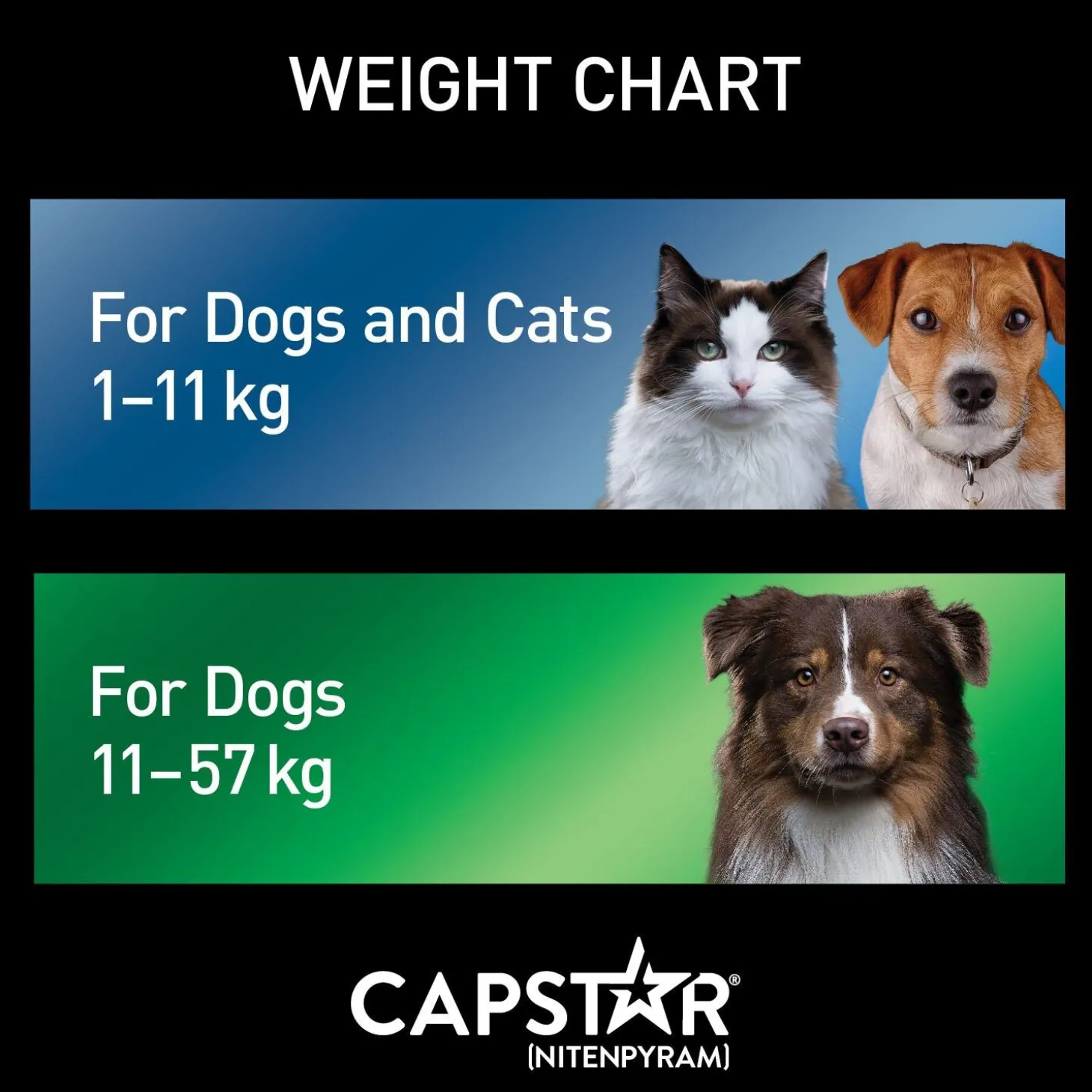 Oral Flea Small Dog & Cat Treatment