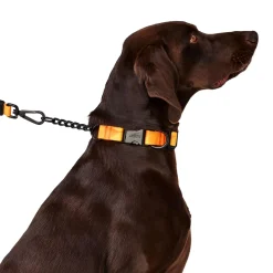 Orange Geometric Dog Leash