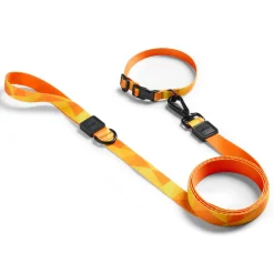 Orange Geometric Dog Leash