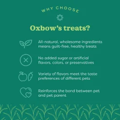 Organic Rewards Barley Biscuits Small Animal Treats