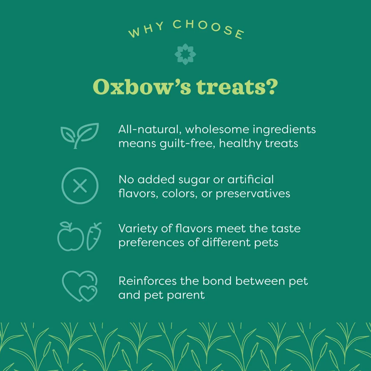 Organic Rewards Barley Biscuits Small Animal Treats