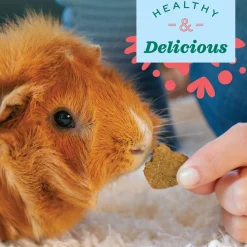 Organic Rewards Barley Biscuits Small Animal Treats