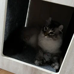 Origin Grey Urban Hut