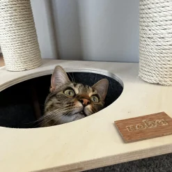 Origin Lodge Black Cat House