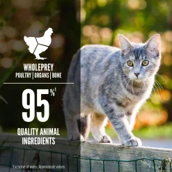 Original Entree Adult Cat Food