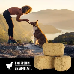 Original Freeze-Dried Dog Treats