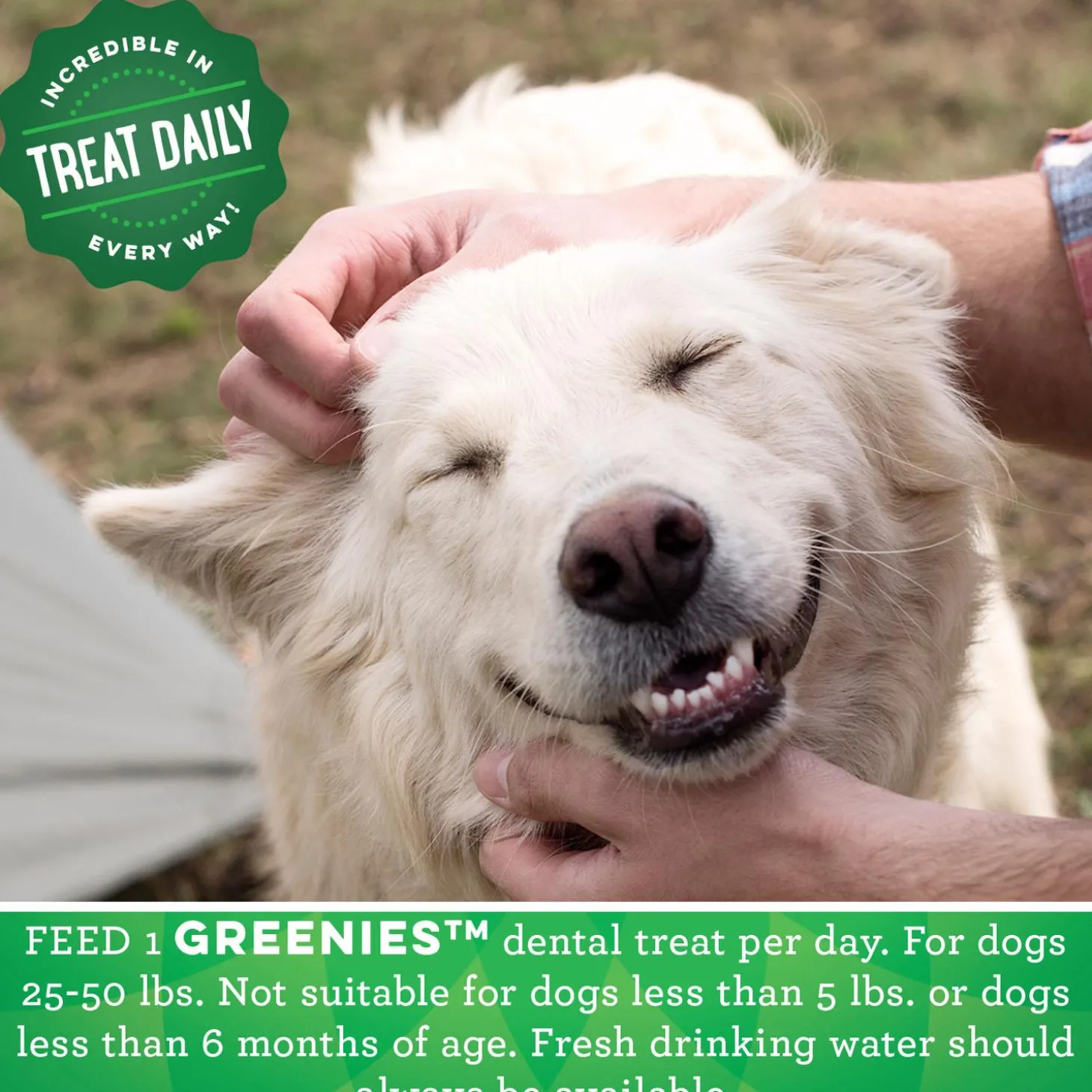 Original Regular Dental Dog Treats