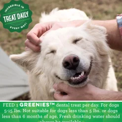 Original Teenie Dental Dog Treats