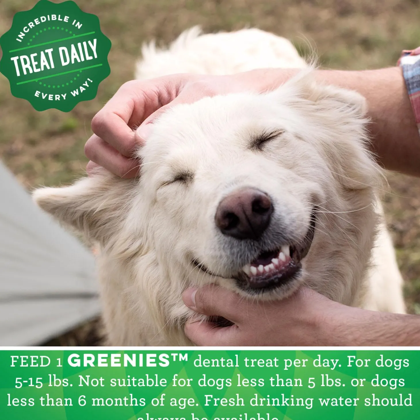 Original Teenie Dental Dog Treats