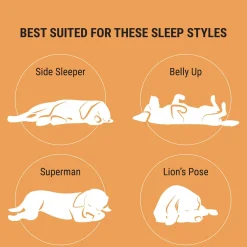 Orthopedic Grey Mattress Bed