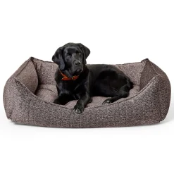 Orthopedic Lounger Charcoal Bed