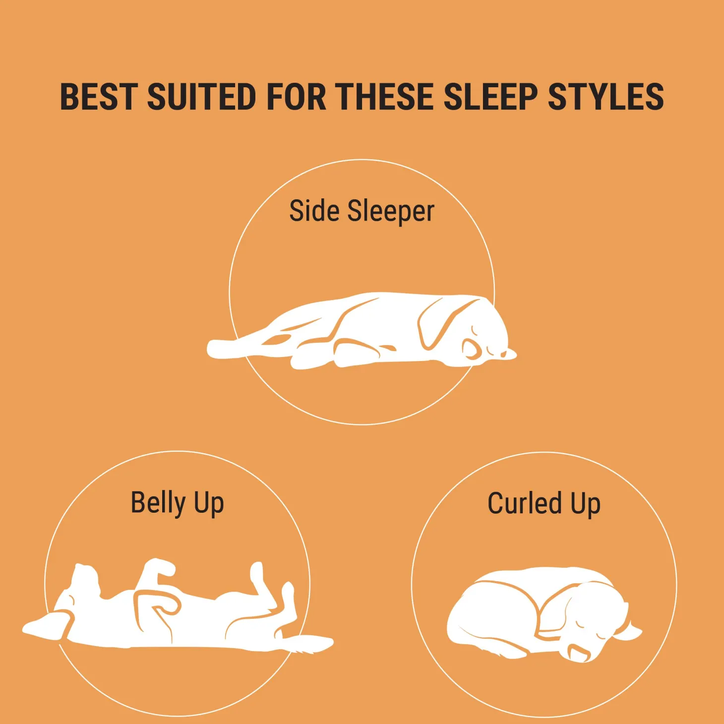 Orthopedic Lounger Charcoal Bed