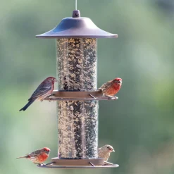 Panorama Wild Bird Feeder