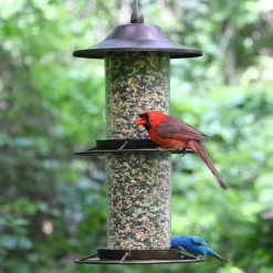 Panorama Wild Bird Feeder