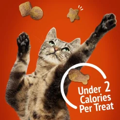 Party Mix Gravy-licious Chicken & Gravy Flavours Crunch Cat Treats