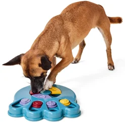 Paw Puzzle Dog Toy