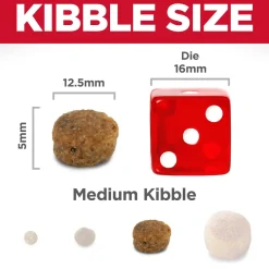 Perfect Digestion Salmon Whole Oats & Brown Rice Recipe Adult Dog Food