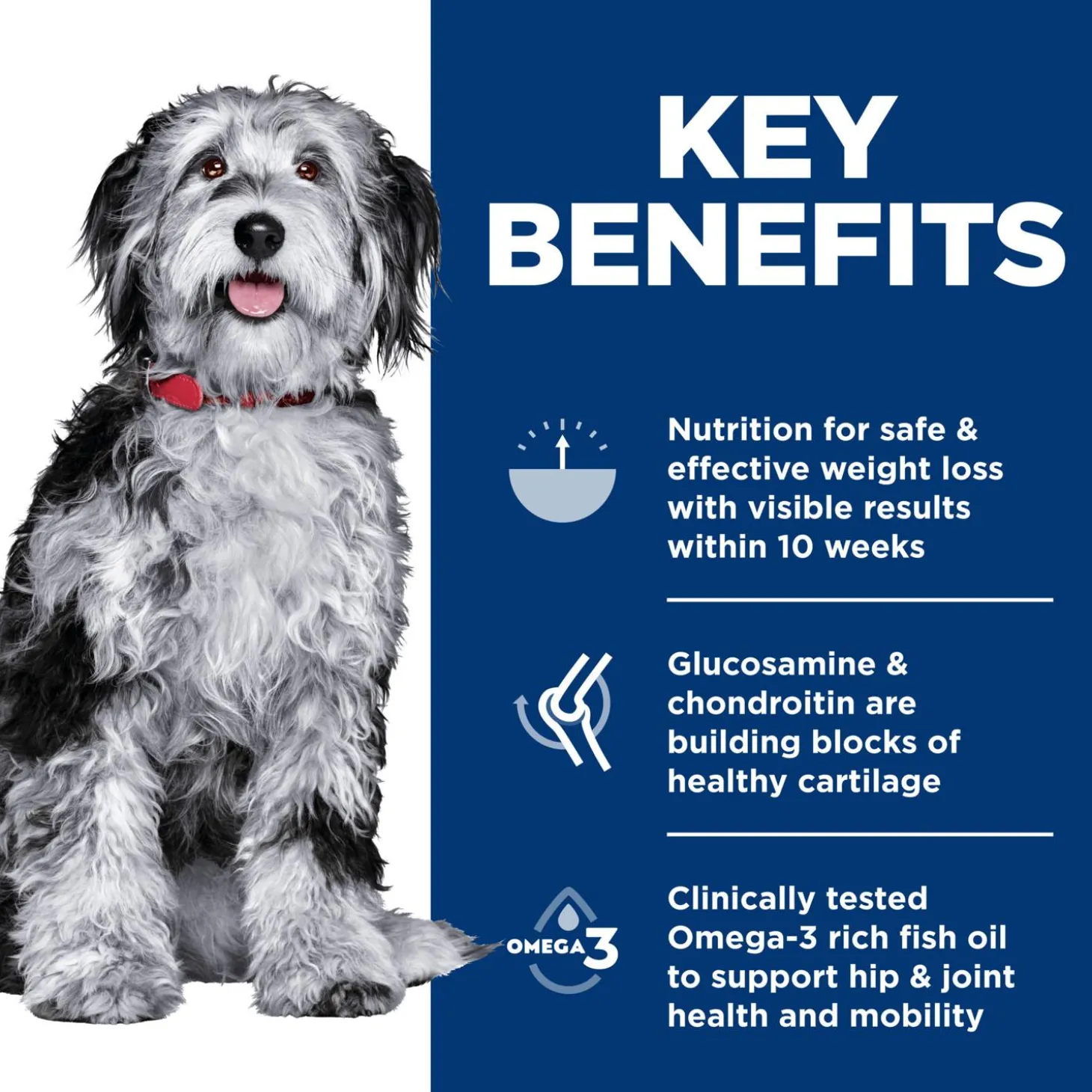 Perfect Weight & Joint Support Hearty Vegetables & Tuna Stew Adult Dog Food