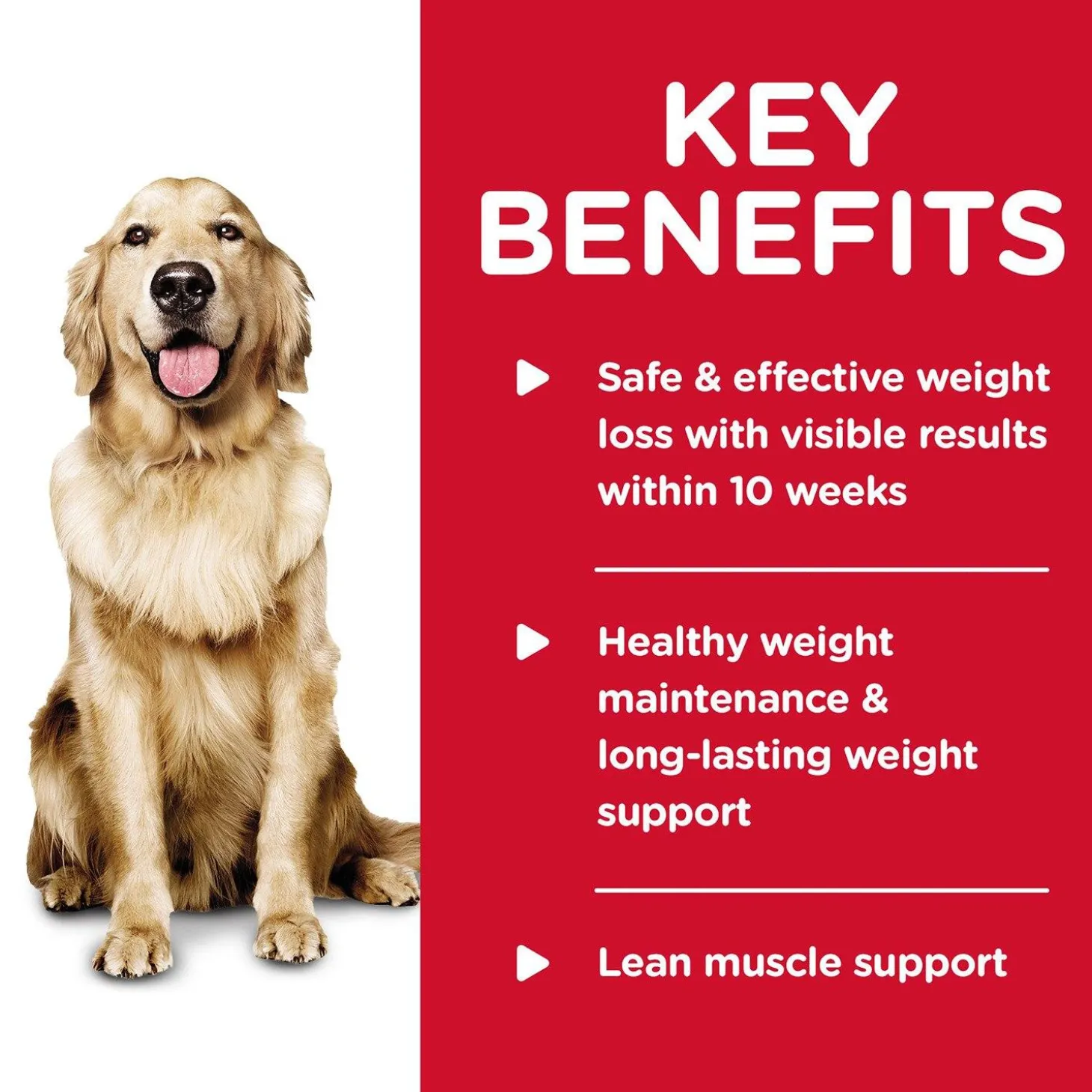 Perfect Weight Chicken & Vegetable Entree Adult Dog Food