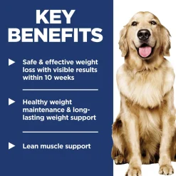 Perfect Weight Vegetables & Salmon Stew Adult Dog Food