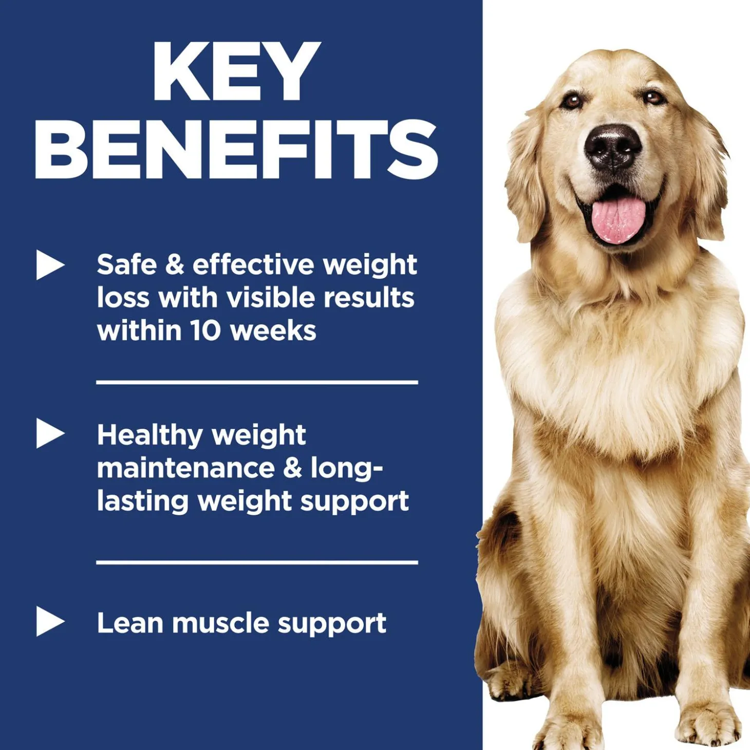 Perfect Weight Vegetables & Salmon Stew Adult Dog Food