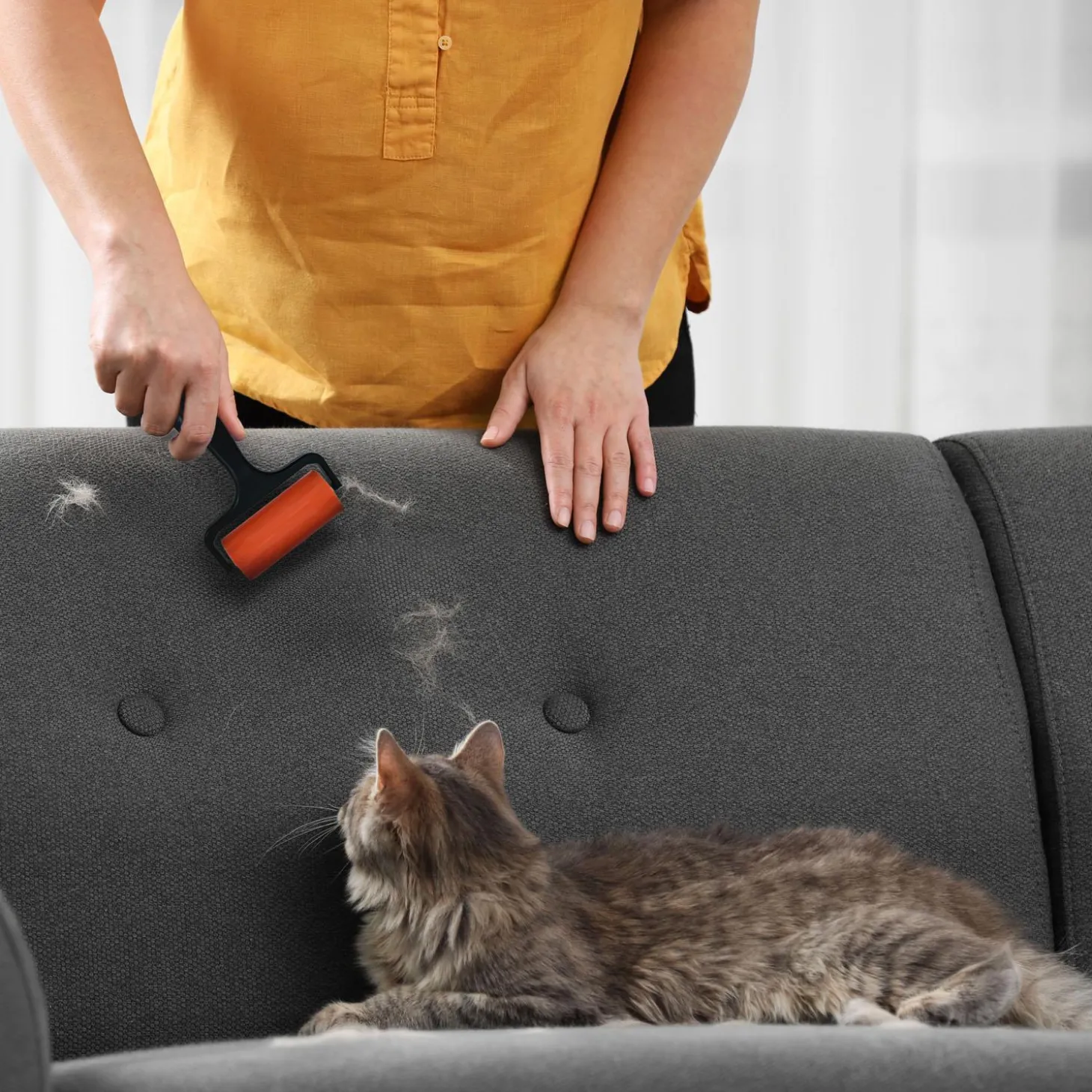 Pet Hair Remover System