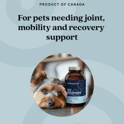 Pet Recovery Extra Strength Advanced Mobility Formula Powder Pet Supplement